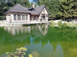 очистка водоемов